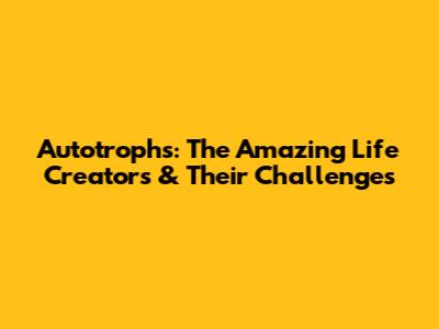 Autotrophs: The Amazing Life Creators & Their Challenges