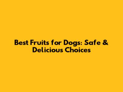 Best Fruits for Dogs: Safe & Delicious Choices