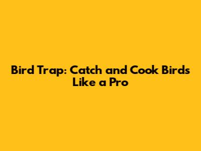 Bird Trap: Catch and Cook Birds Like a Pro