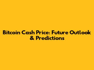 Bitcoin Cash Price: Future Outlook & Predictions