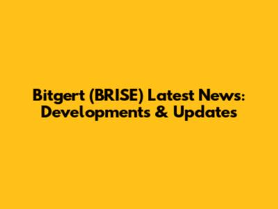 Bitgert (BRISE) Latest News: Developments & Updates