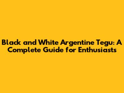 Black and White Argentine Tegu: A Complete Guide for Enthusiasts