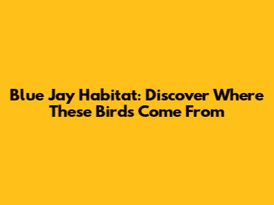 Blue Jay Habitat: Discover Where These Birds Come From