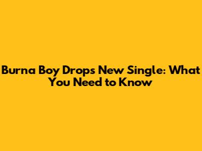 Burna Boy Drops New Single: What You Need to Know