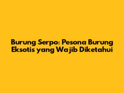 Burung Serpo: Pesona Burung Eksotis yang Wajib Diketahui