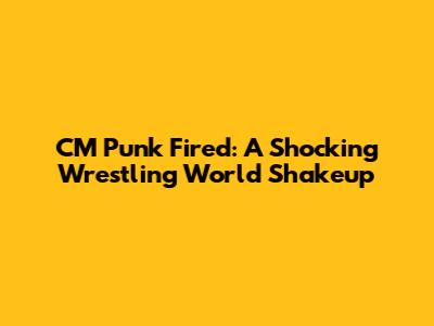 CM Punk Fired: A Shocking Wrestling World Shakeup