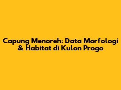 Capung Menoreh: Data Morfologi & Habitat di Kulon Progo