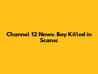 Channel 12 News: Boy Killed in Scansc