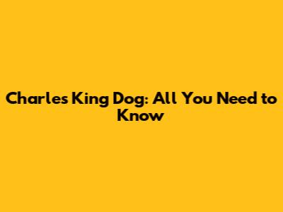 Charles King Dog: All You Need to Know