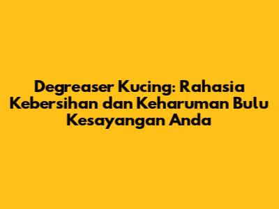 Degreaser Kucing: Rahasia Kebersihan dan Keharuman Bulu Kesayangan Anda