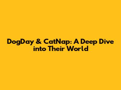DogDay & CatNap: A Deep Dive into Their World