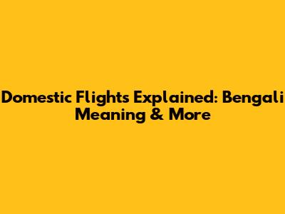 Domestic Flights Explained: Bengali Meaning & More