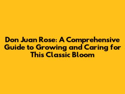 Don Juan Rose: A Comprehensive Guide to Growing and Caring for This Classic Bloom