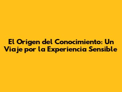 El Origen del Conocimiento: Un Viaje por la Experiencia Sensible