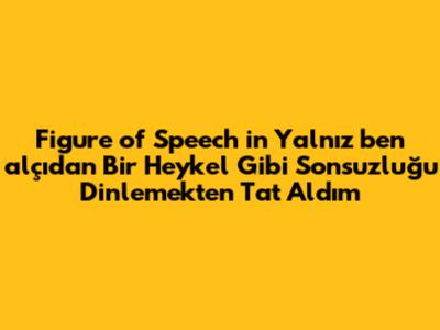 Figure of Speech in "Yalnız ben alçıdan Bir Heykel Gibi Sonsuzluğu Dinlemekten Tat Aldım"