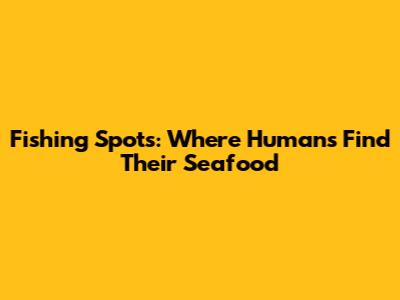 Fishing Spots: Where Humans Find Their Seafood