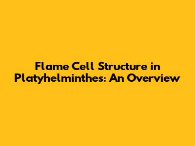 Flame Cell Structure in Platyhelminthes: An Overview