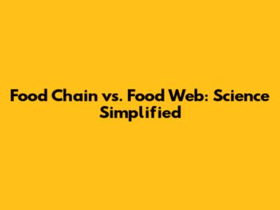 Food Chain vs. Food Web: Science Simplified