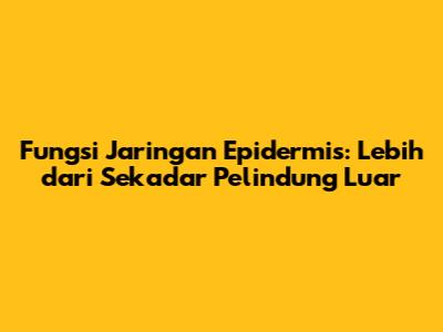Fungsi Jaringan Epidermis: Lebih dari Sekadar Pelindung Luar