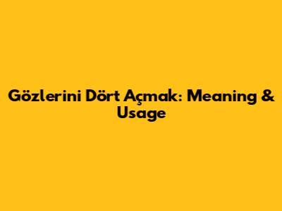 Gözlerini Dört Açmak: Meaning & Usage