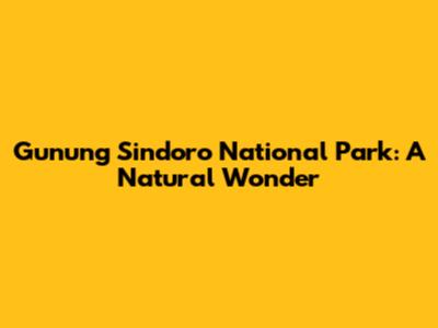 Gunung Sindoro National Park: A Natural Wonder