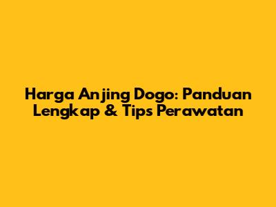 Harga Anjing Dogo: Panduan Lengkap & Tips Perawatan