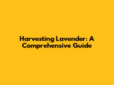 Harvesting Lavender: A Comprehensive Guide