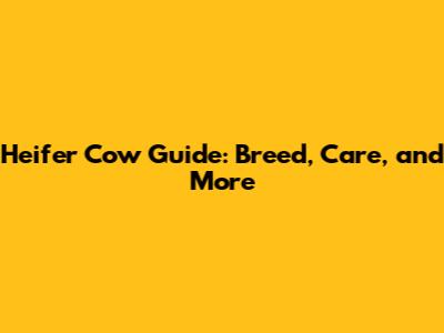 Heifer Cow Guide: Breed, Care, and More