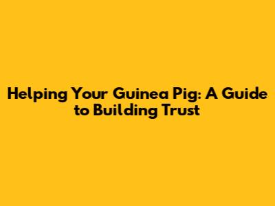Helping Your Guinea Pig: A Guide to Building Trust