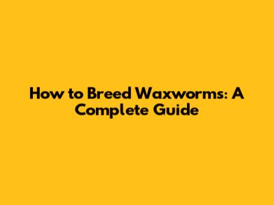 How to Breed Waxworms: A Complete Guide