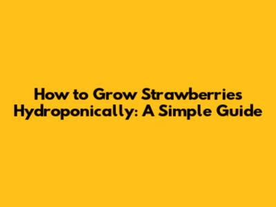 How to Grow Strawberries Hydroponically: A Simple Guide