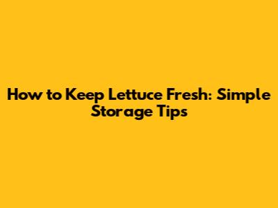 How to Keep Lettuce Fresh: Simple Storage Tips