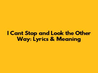I Can't Stop and Look the Other Way: Lyrics & Meaning