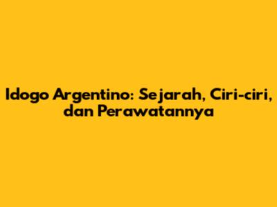 Idogo Argentino: Sejarah, Ciri-ciri, dan Perawatannya