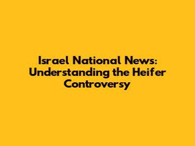 Israel National News: Understanding the Heifer Controversy