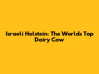 Israeli Holstein: The World's Top Dairy Cow