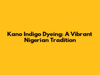Kano Indigo Dyeing: A Vibrant Nigerian Tradition