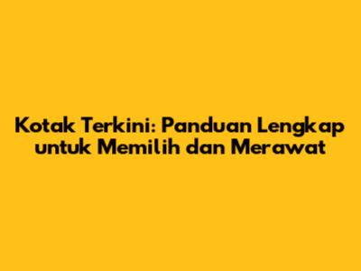 Kotak Terkini: Panduan Lengkap untuk Memilih dan Merawat