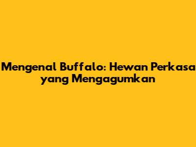 Mengenal Buffalo: Hewan Perkasa yang Mengagumkan
