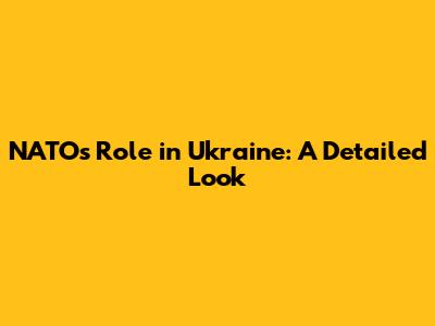 NATO's Role in Ukraine: A Detailed Look