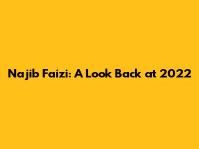 Najib Faizi: A Look Back at 2022
