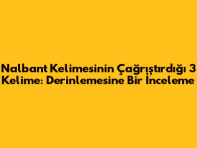 Nalbant Kelimesinin Çağrıştırdığı 3 Kelime: Derinlemesine Bir İnceleme