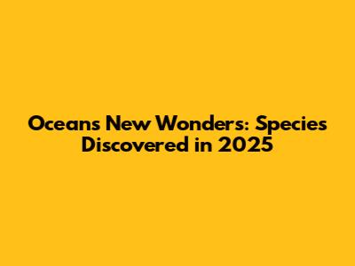 Ocean's New Wonders: Species Discovered in 2025