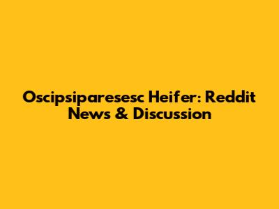 Oscipsiparesesc Heifer: Reddit News & Discussion