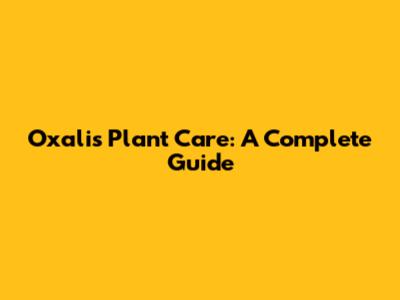 Oxalis Plant Care: A Complete Guide