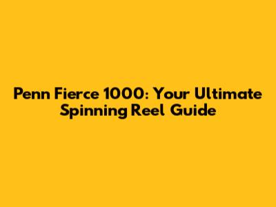 Penn Fierce 1000: Your Ultimate Spinning Reel Guide