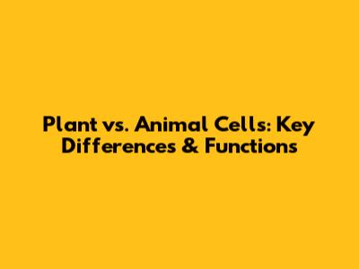 Plant vs. Animal Cells: Key Differences & Functions