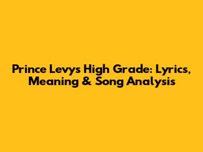 Prince Levy's High Grade: Lyrics, Meaning & Song Analysis