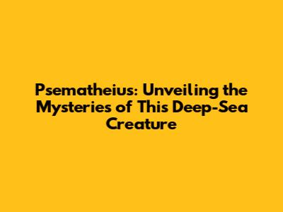 Psematheius: Unveiling the Mysteries of This Deep-Sea Creature