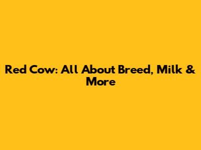 Red Cow: All About Breed, Milk & More